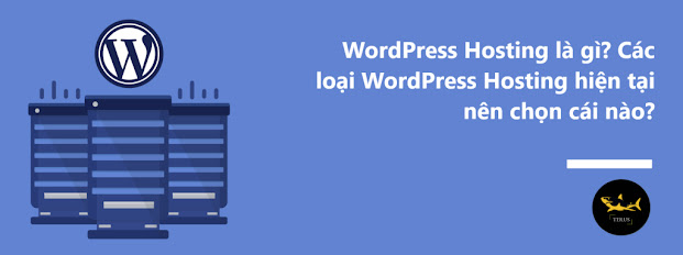 WordPress Hosting – Điều cần biết trước khi sử dụng website Wordpress