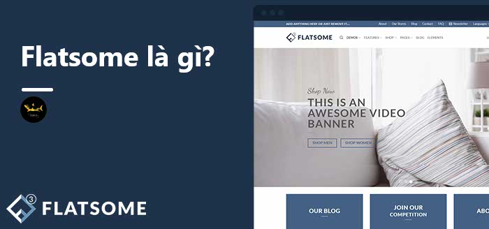 Flatsome là gì? Những lý do nên sử dụng Flatsome cho website