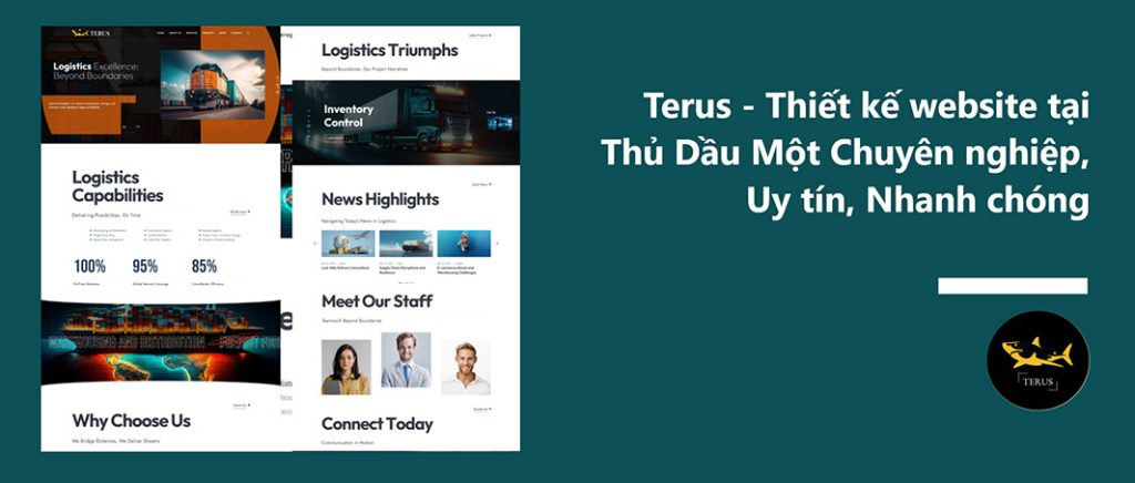 Terus – Thiết kế website tại Thủ Dầu Một Chuyên nghiệp, Uy tín, Nhanh chóng!