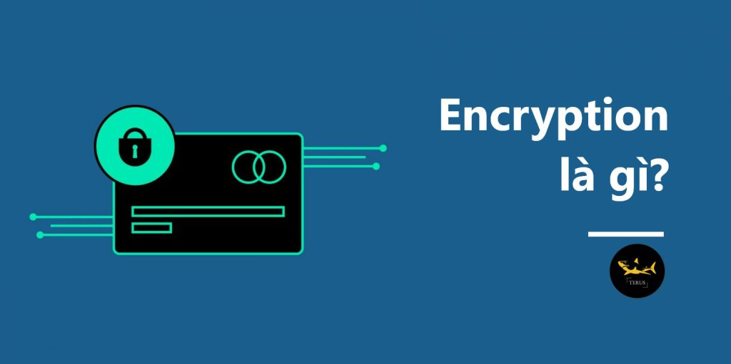 Encryption – mã hóa là gì? Những thông tin cơ bản về mã hóa cần biết