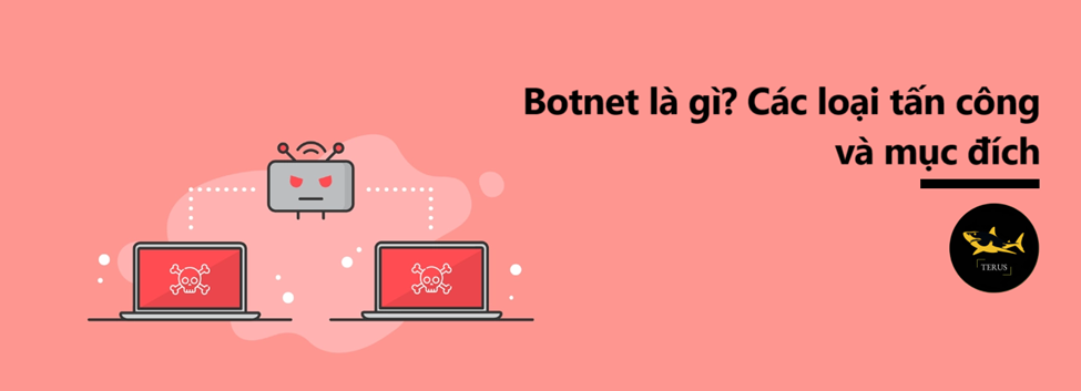 Botnet là gì? Các loại tấn công Botnet