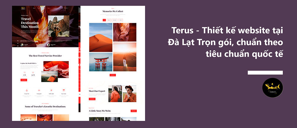 Terus – Thiết kế website tại Đà Lạt Trọn gói, chuẩn theo tiêu chuẩn quốc tế